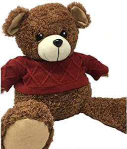 Max Mindpower Senior Soft Bear Toy