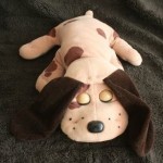 Pound puppie from 2007 eyes closed